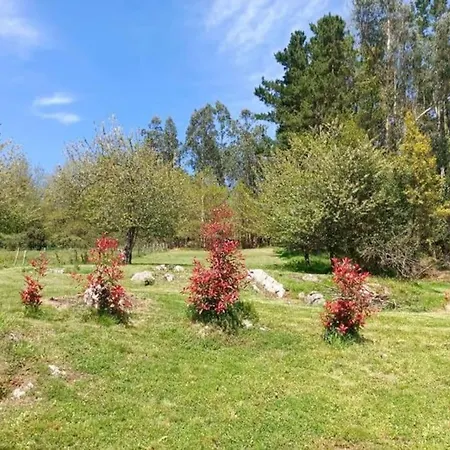 Сasa de vacaciones Xxx