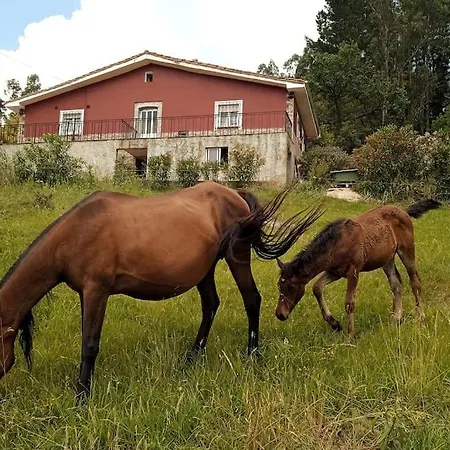 Сasa de vacaciones Xxx *